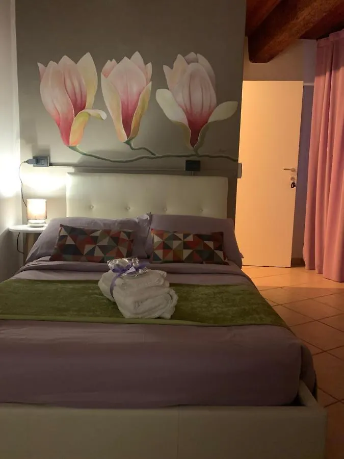 B&B 
