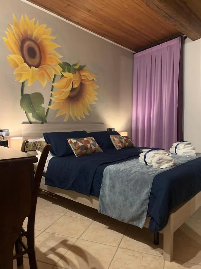 B&B \